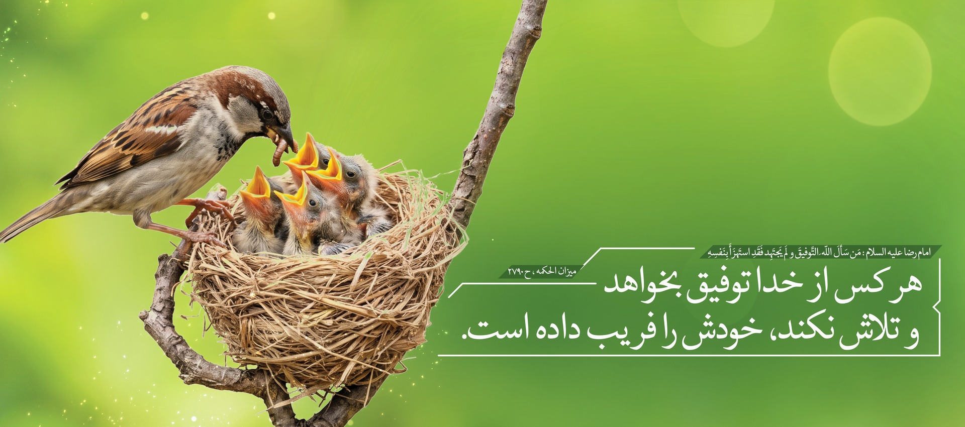 حدیث توفیق و تلاش
